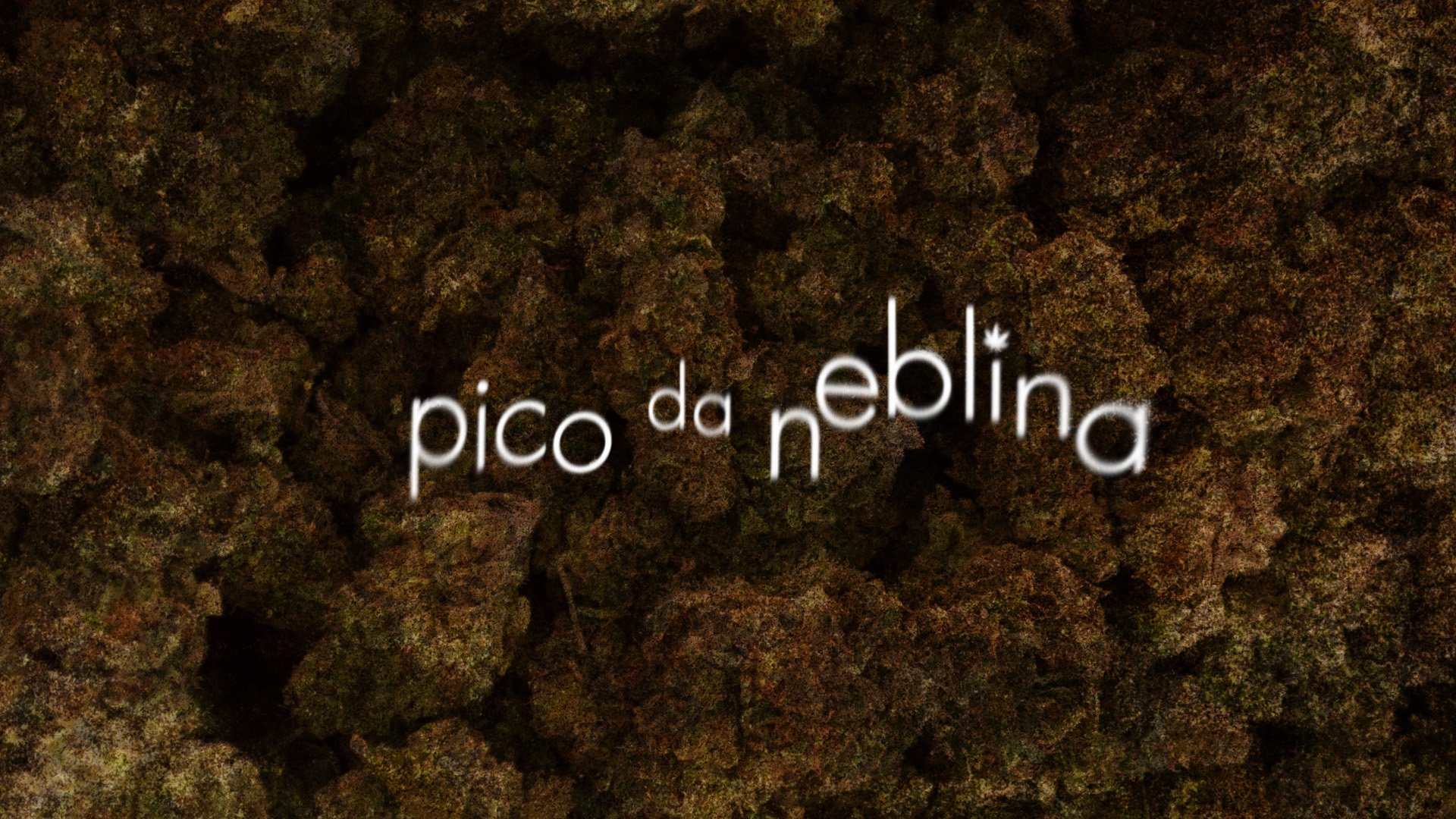 Série brasileira da HBO sobre legalização da maconha estreia nova