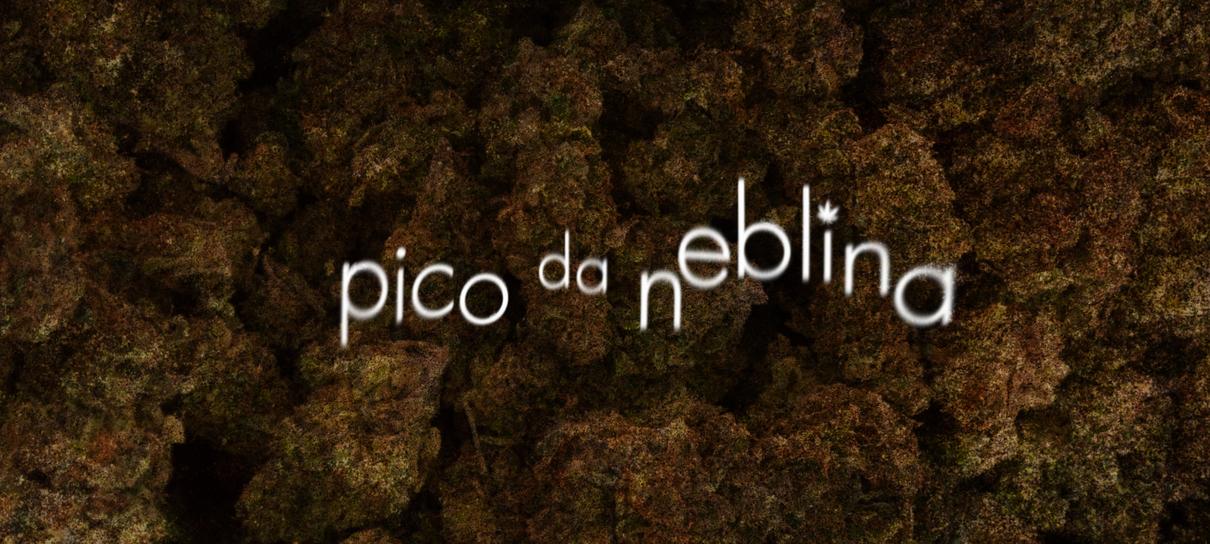 Pico da Neblina | Teaser de nova série da HBO dá um tapa na pantera