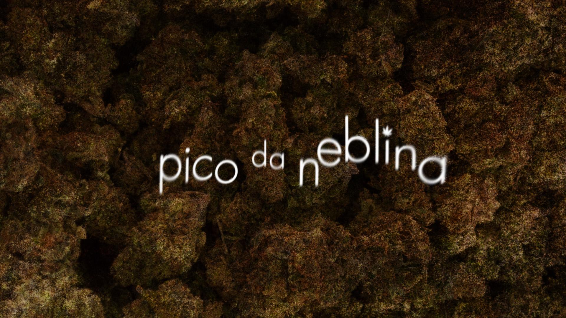 Pico da Neblina | Teaser de nova série da HBO dá um tapa na pantera