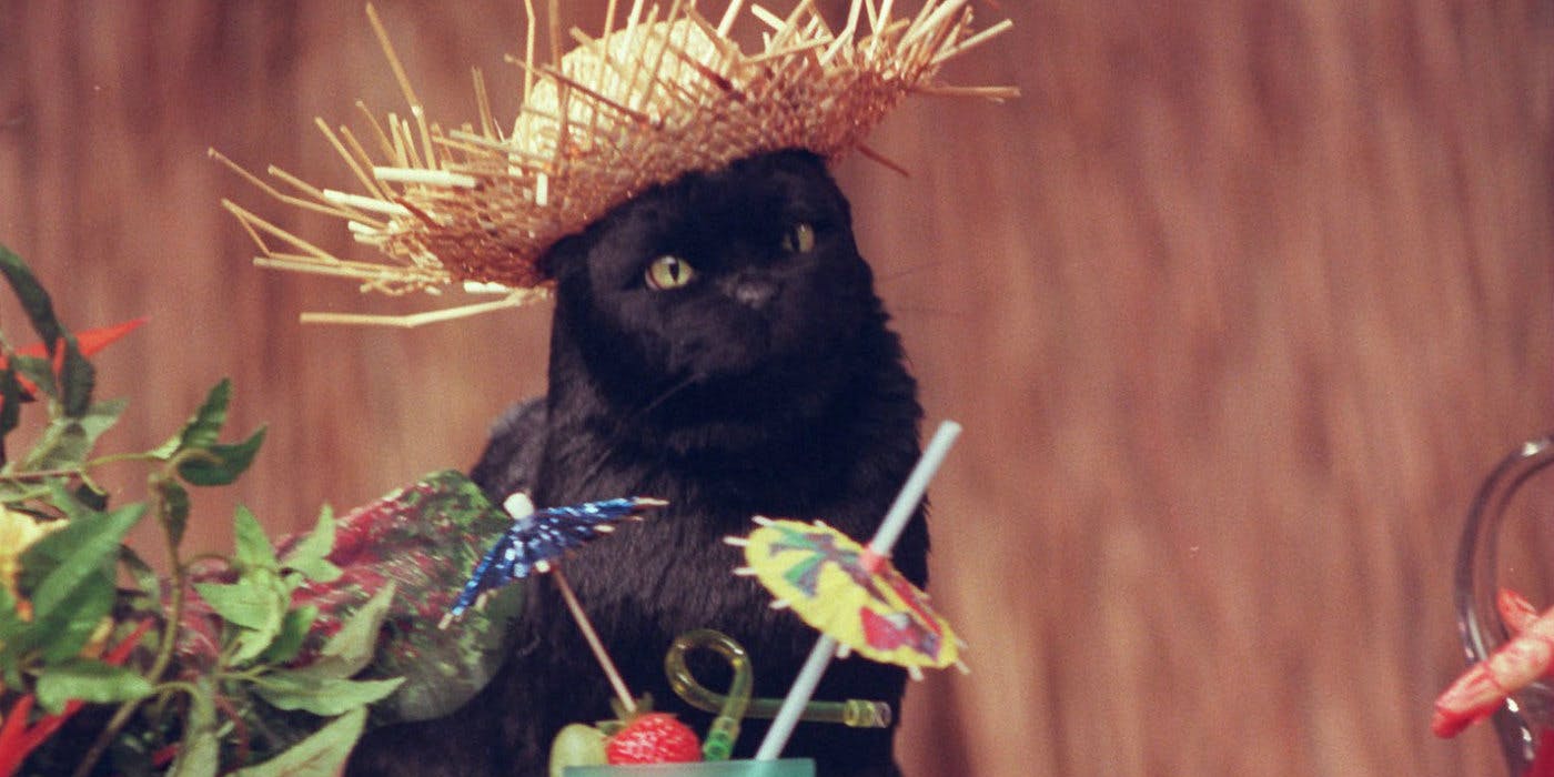 O Mundo Sombrio de Sabrina | Nova foto mostra a nova versão de Salem