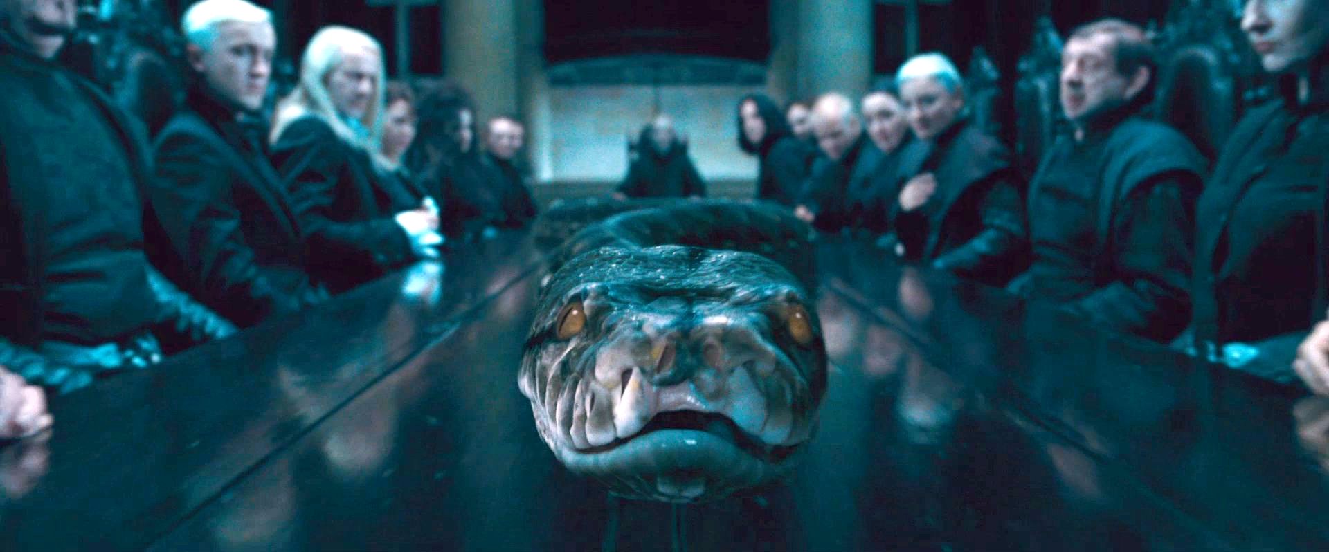 Animais Fantásticos | Historiadora explica origem do nome de Nagini