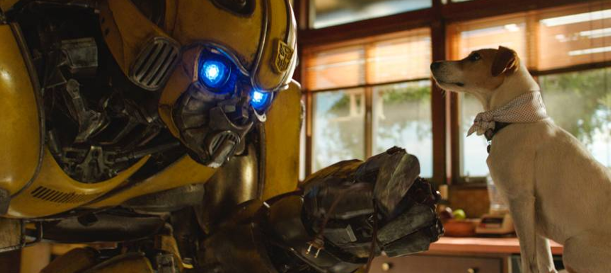 Bumblebee conhece um cachorro em nova foto do filme
