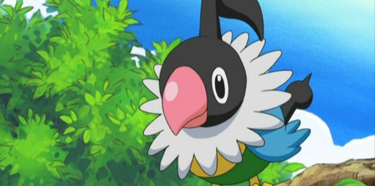 Pokémon Go | Chatot é o novo exclusivo regional que pode ser encontrado no Brasil