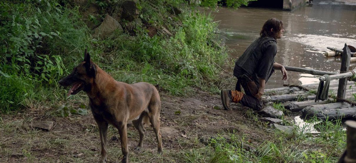 The Walking Dead | Fãs estão indignados com a possibilidade do cachorro do Daryl morrer