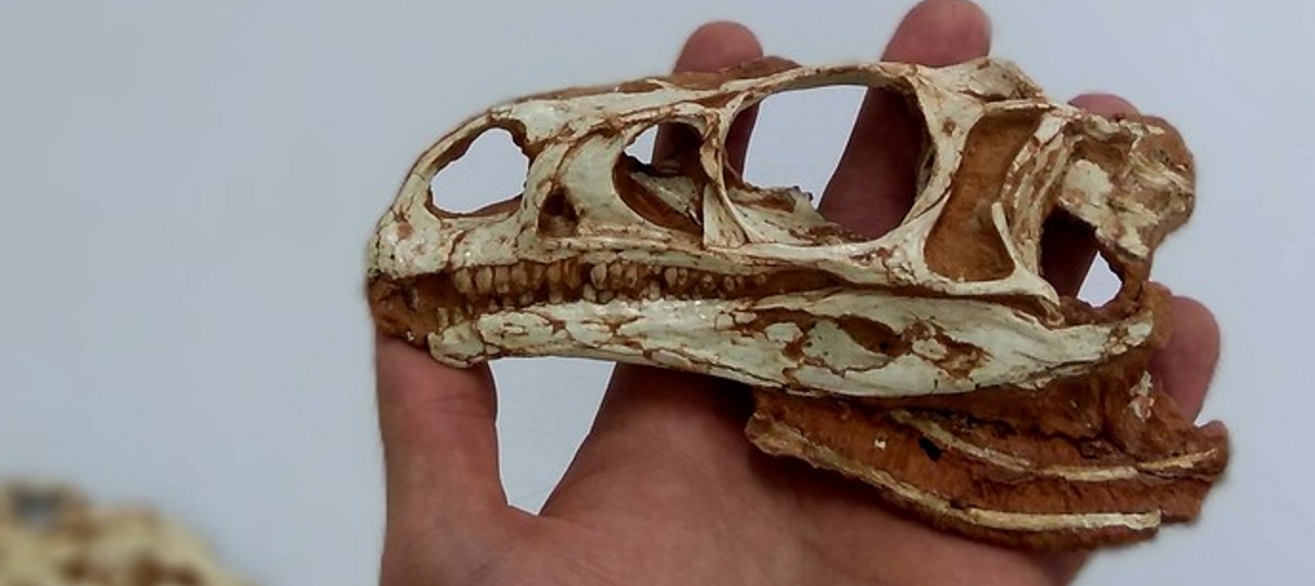 Fóssil do mais antigo dinossauro de pescoço longo do mundo é encontrado no Brasil