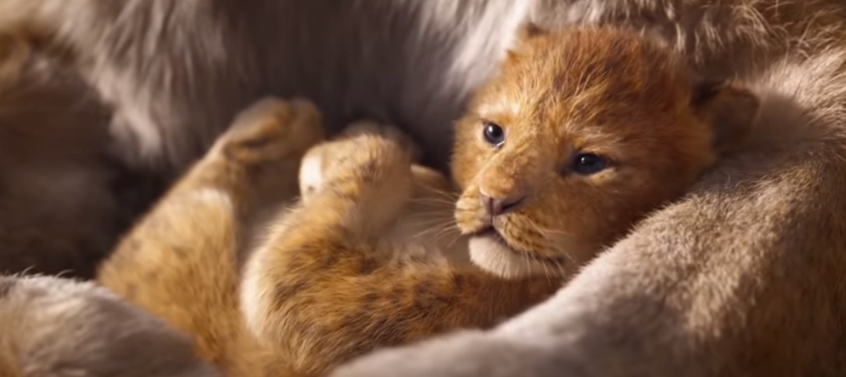 Contemple o Ciclo sem Fim no primeiro trailer do live-action de O Rei Leão