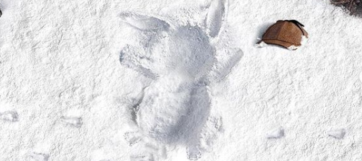 Detetive Pikachu | Pokémon fazem "anjinhos na neve" em cartazes temáticos