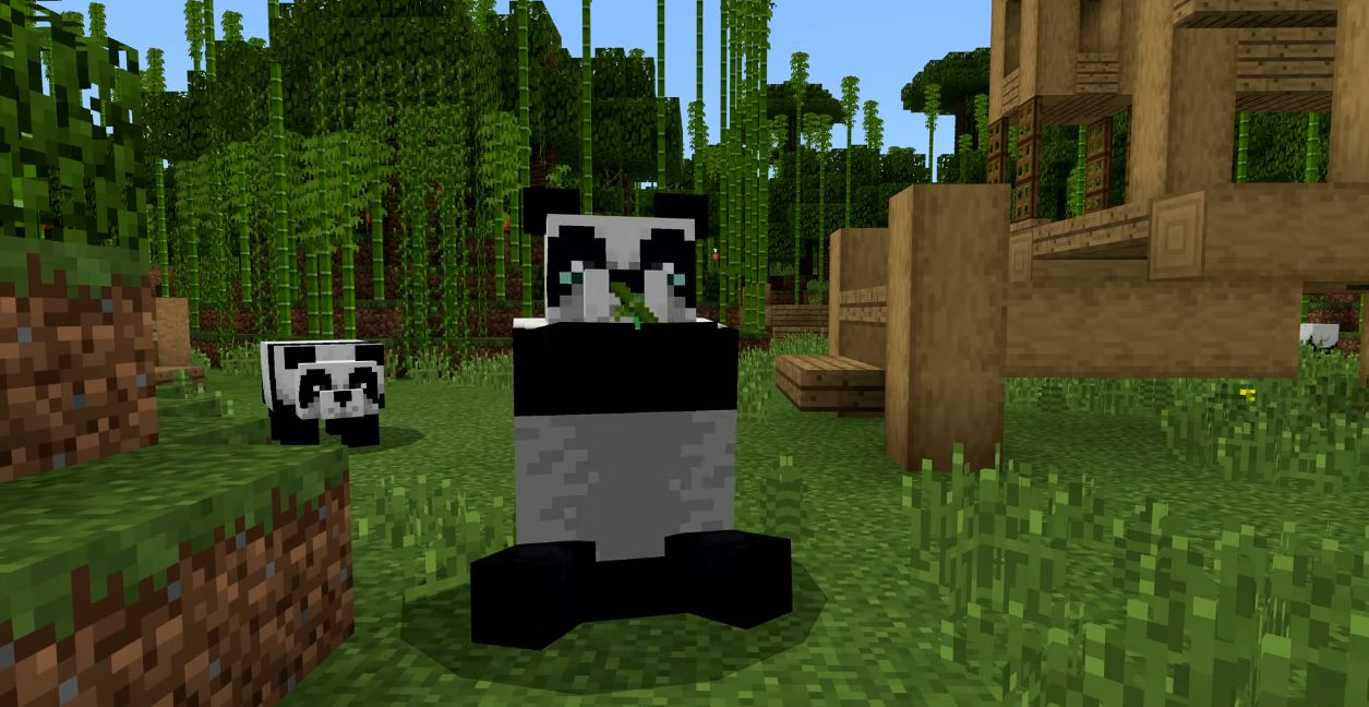 Minecraft | Plante bambus no jogo para salvar pandas no mundo real