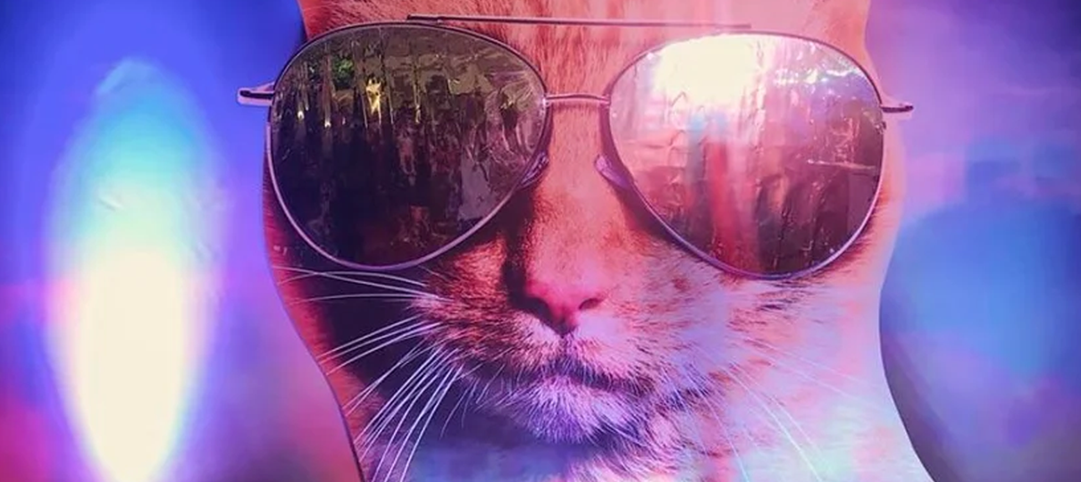 Capitã Marvel | Gato da heroína usa óculos em nova imagem promocional