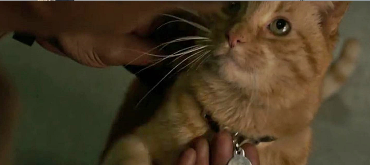 Brinquedo de Capitã Marvel pode ter dado spoiler sobre o gato da heroína