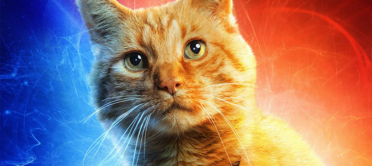 Capitã Marvel | Cenas inéditas de Goose aparecem em vídeo zoeiro de dia dos pets