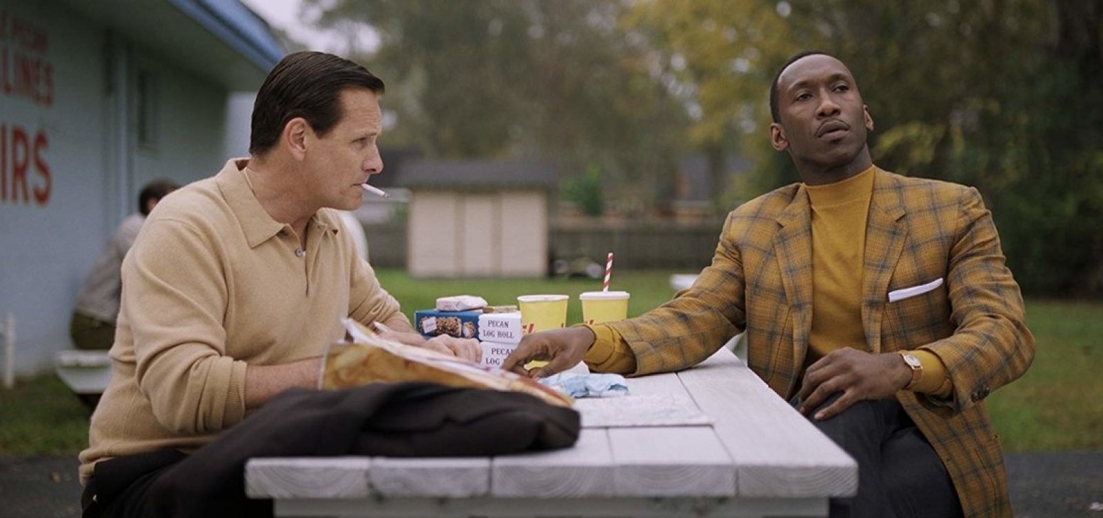 Vencedor do Oscar 2019, Green Book - O Guia coleciona polêmicas e desavenças