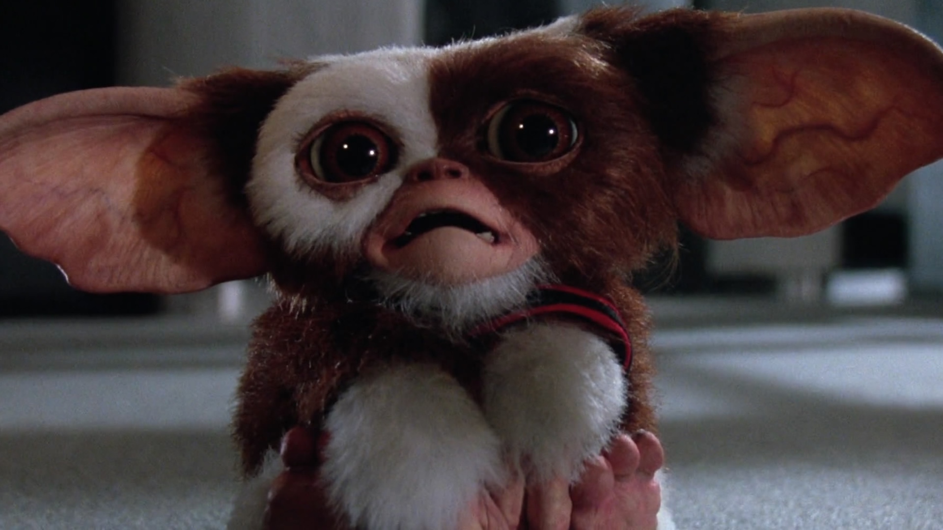 Gremlins | Warner vai produzir série animada baseada no filme