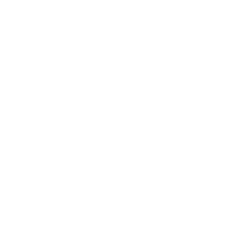 Toronto Defiant
