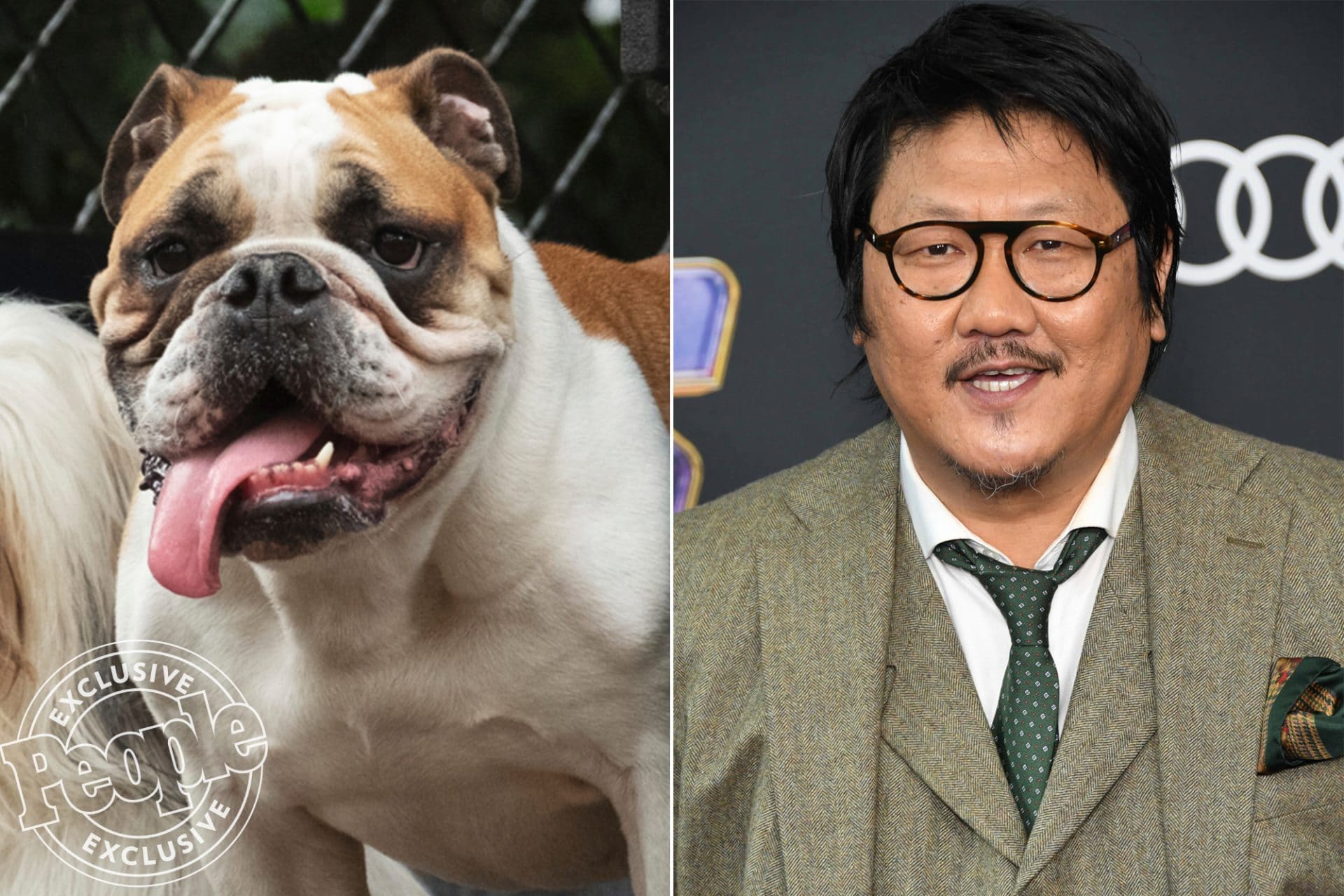 Versão live-action de A Dama e o Vagabundo, da Disney, revela elenco  canino - A Broadway é Aqui!