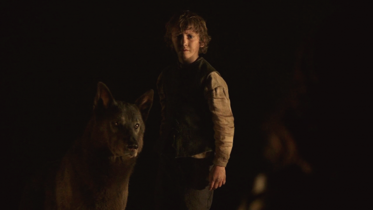 Game of Thrones lobos