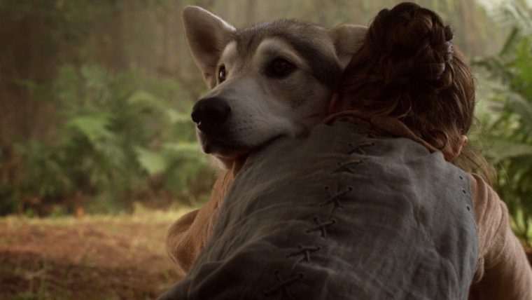 Game of Thrones lobos