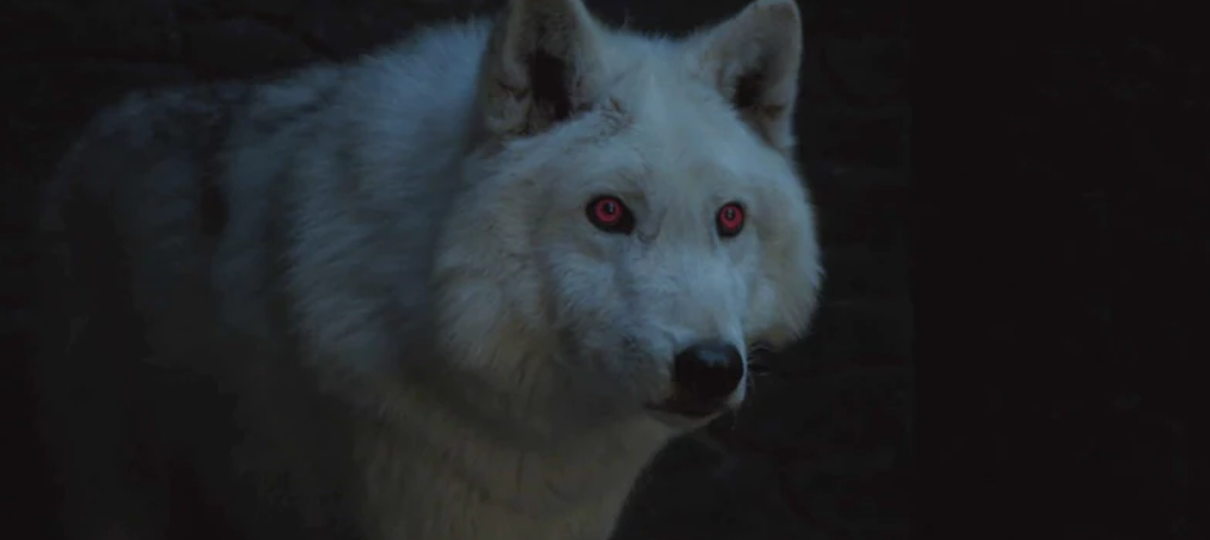 O que aconteceu com os lobos de Game of Thrones? - NerdBunker