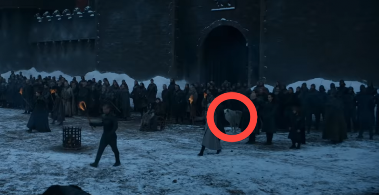 Game of Thrones lobos