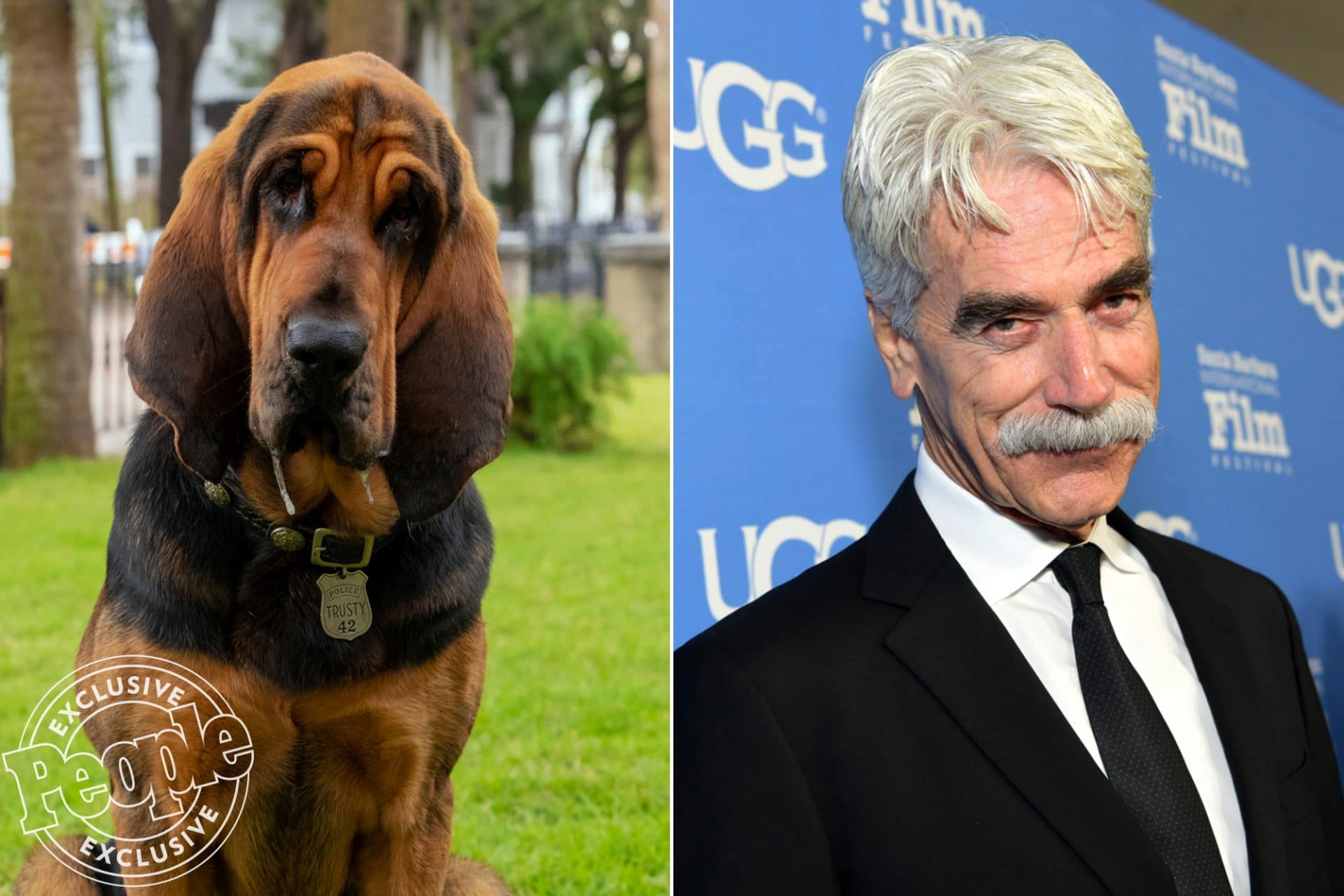 Versão live-action de A Dama e o Vagabundo, da Disney, revela elenco  canino - A Broadway é Aqui!