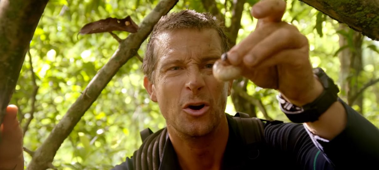 Você Radical | Netflix anuncia dublagem de Wendel Bezerra após pedidos de fãs