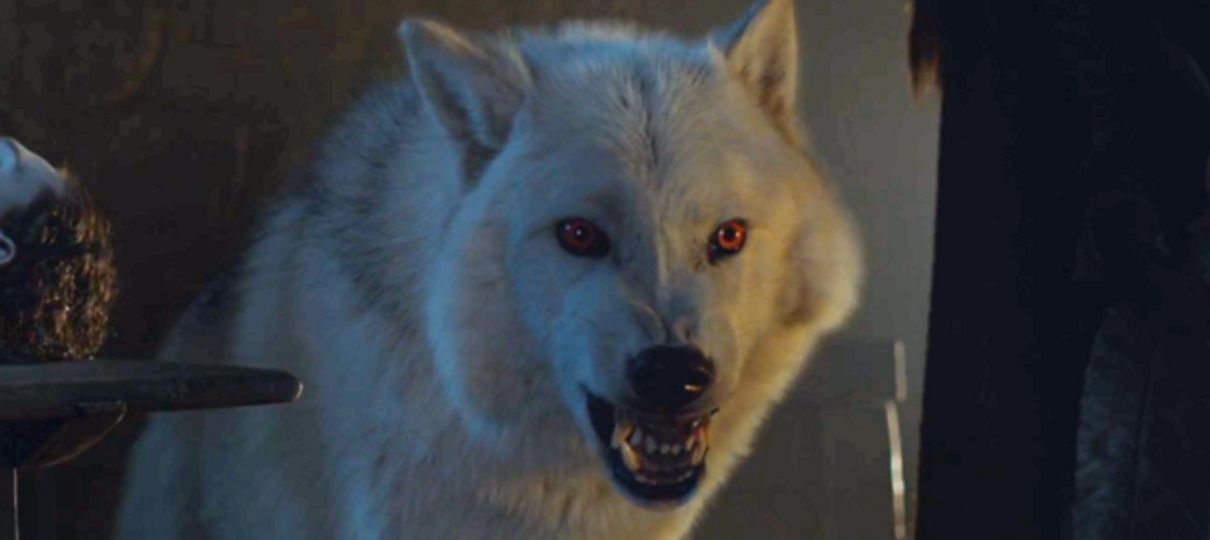 Game of Thrones | A internet está revoltada com o tratamento do Fantasma