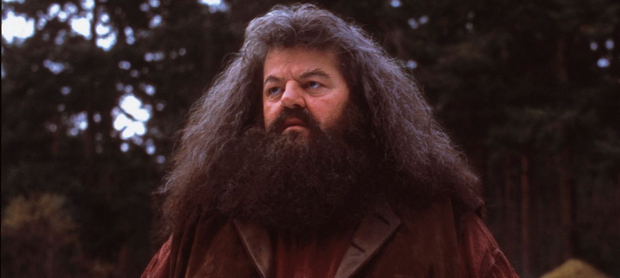 Harry Potter | Veja um vídeo da nova montanha-russa da franquia