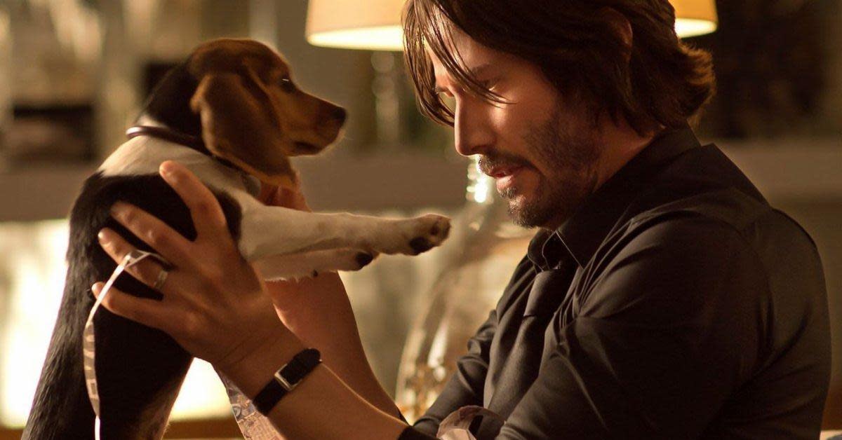 Keanu Reeves se veste como John Wick e brinca com filhotinhos em vídeo adorável