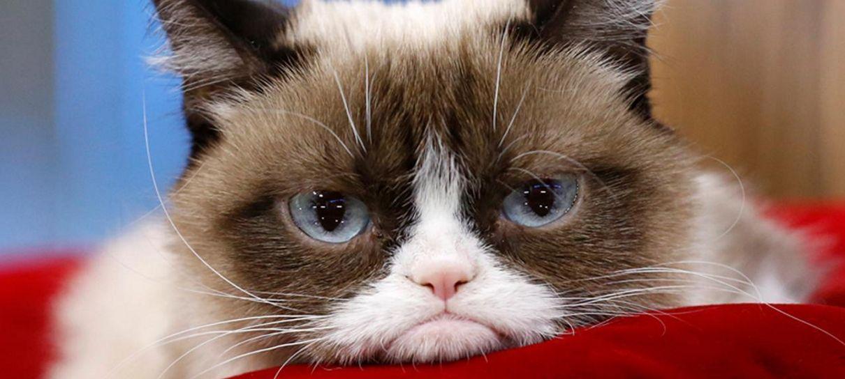 Mark Hamill faz homenagem a Grumpy Cat, gata rabugenta da internet