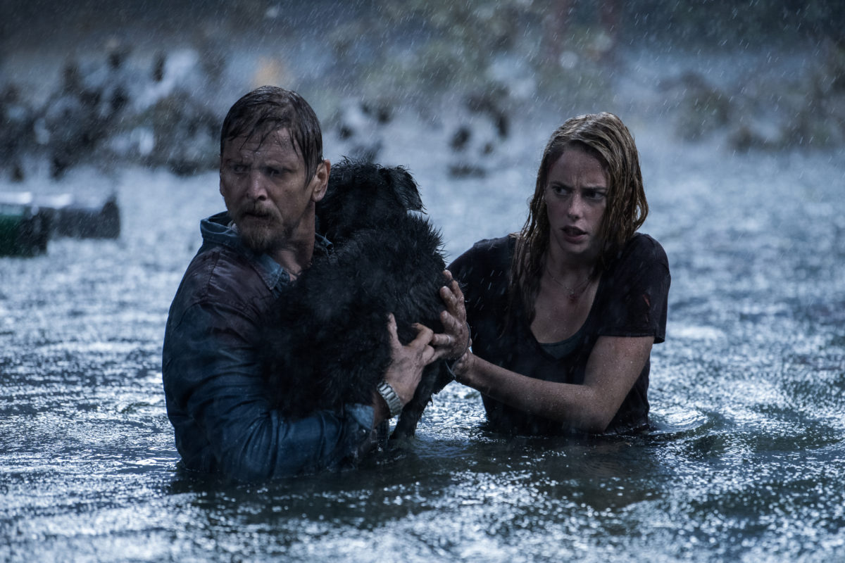 Predadores Assassinos | Criaturas atacam brutalmente no trailer do filme