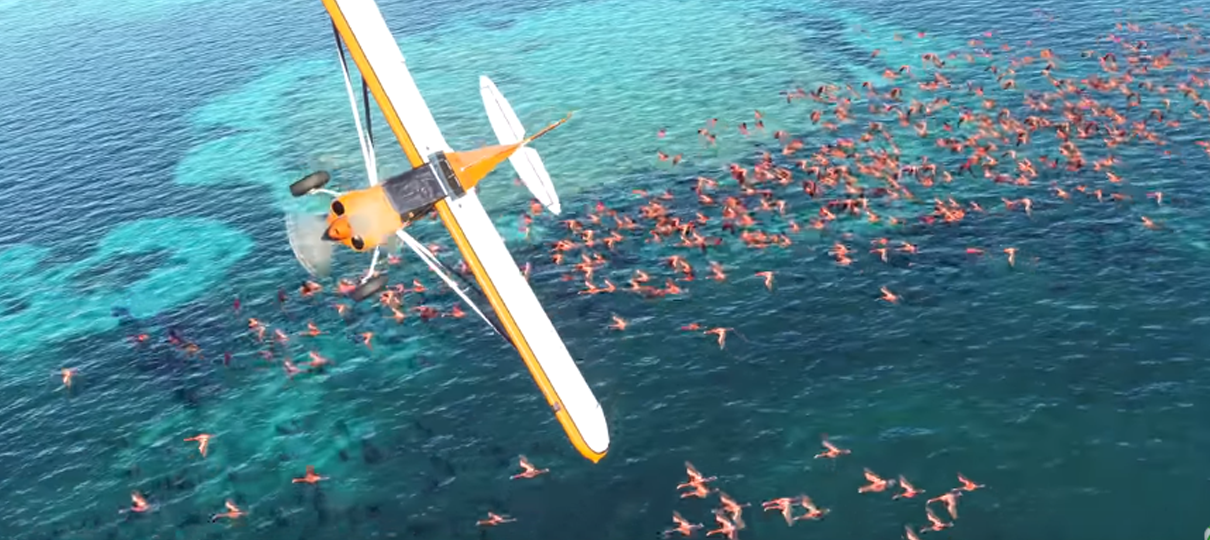 Microsoft Flight Simulator é anunciado para 2020