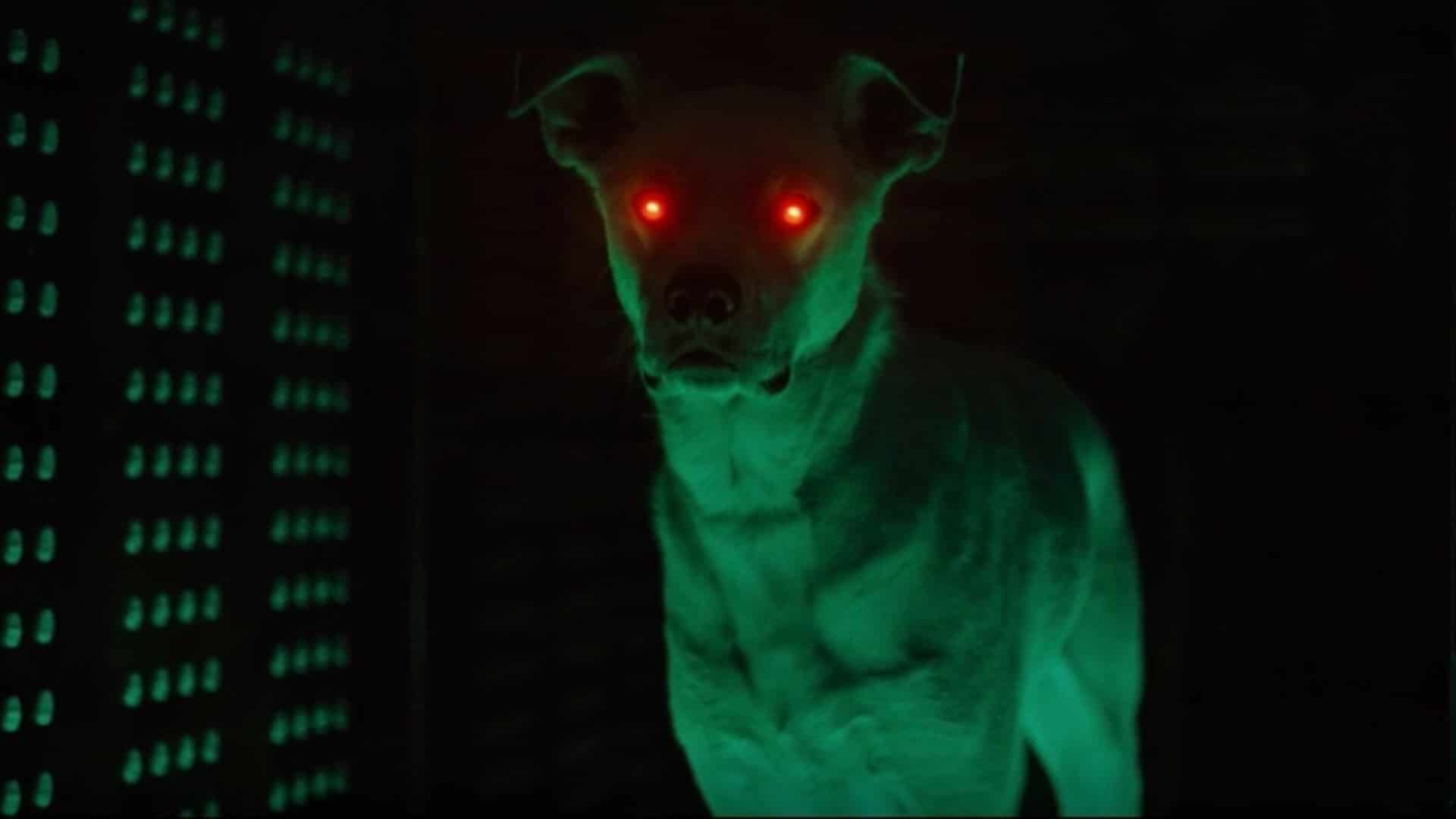 Titãs | Krypto aparece em imagem dos bastidores da segunda temporada