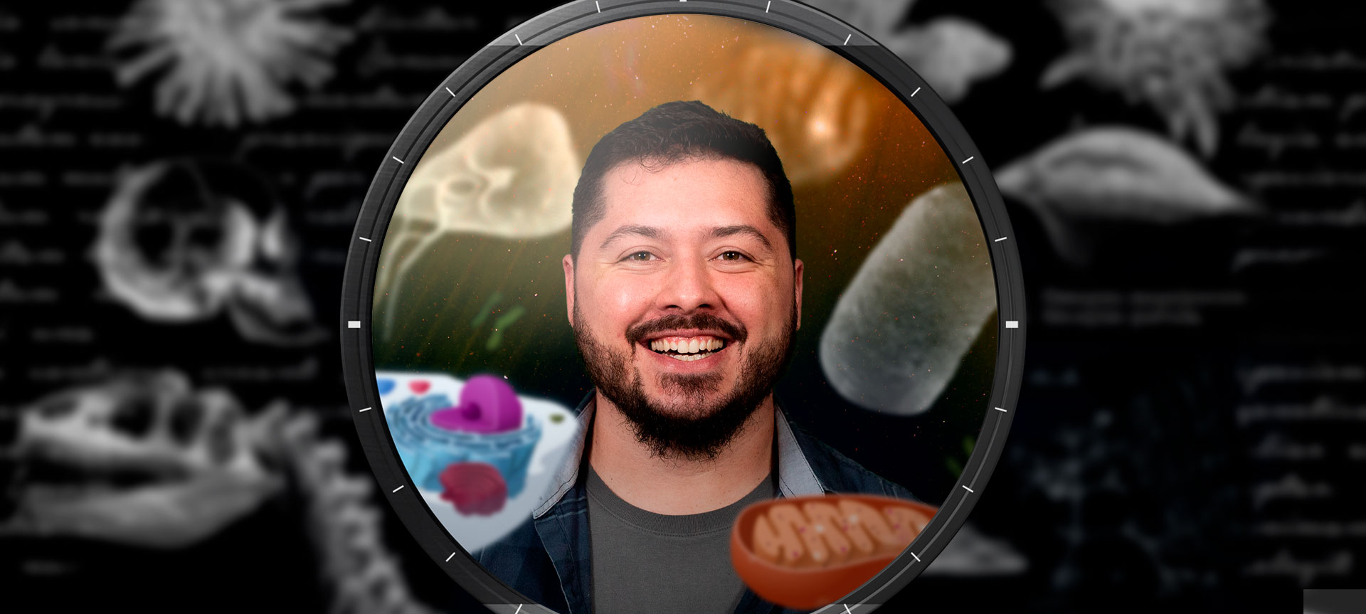 De onde vêm as células (eucariotos)