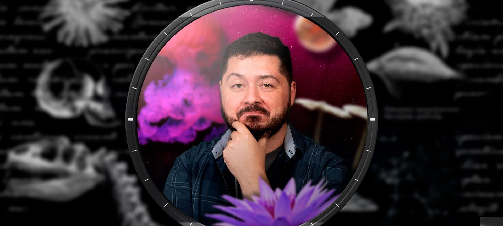 A complexidade da vida (multicelularidade)