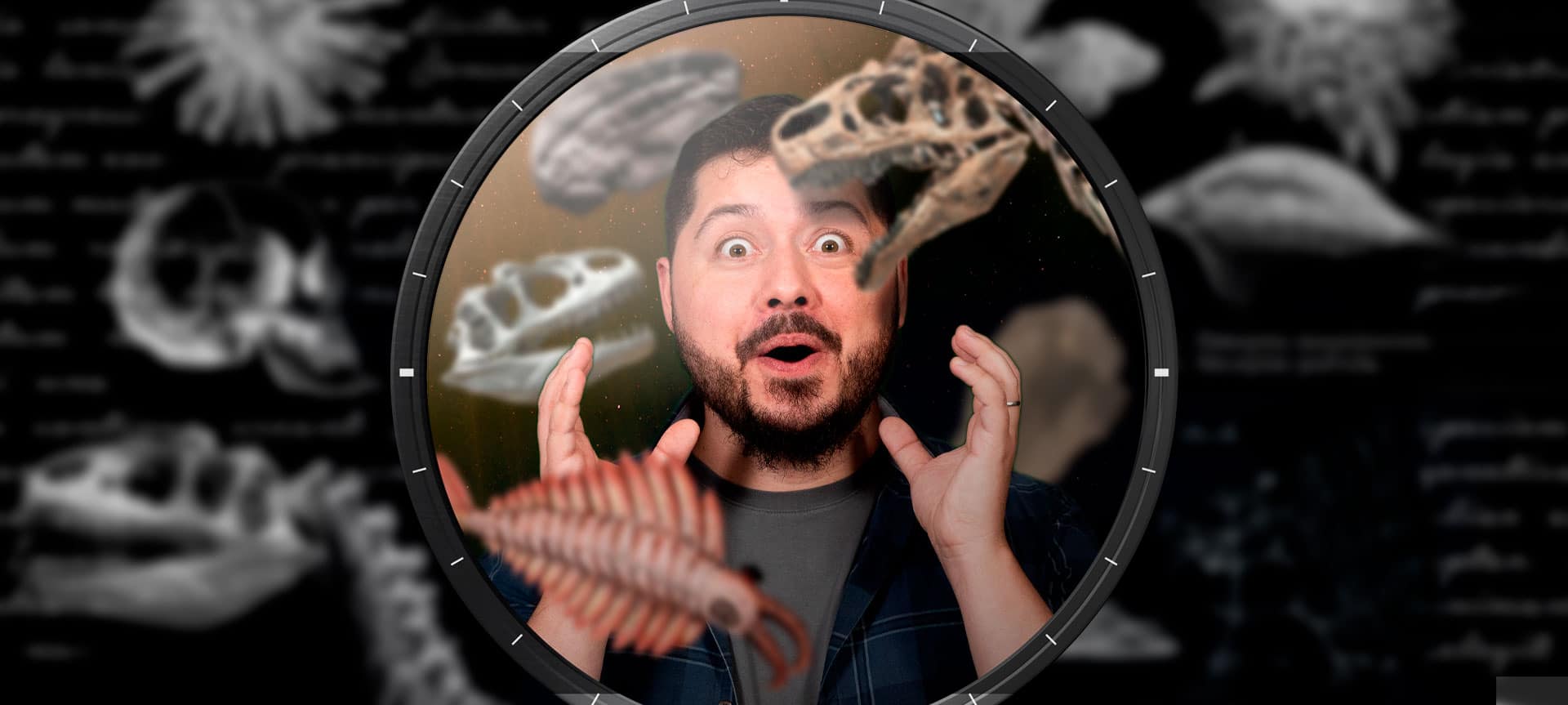 De onde vêm os fósseis