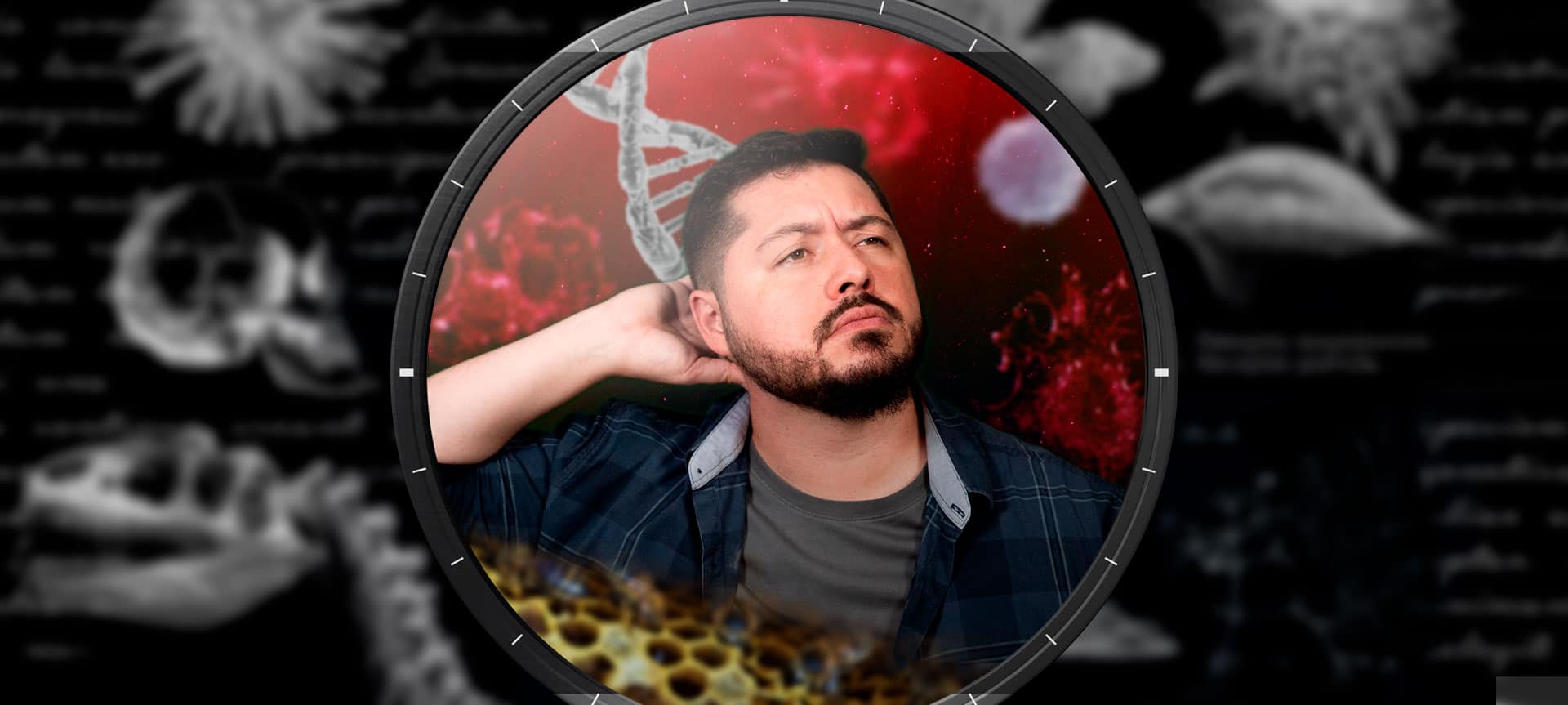 Cooperação e trapaças