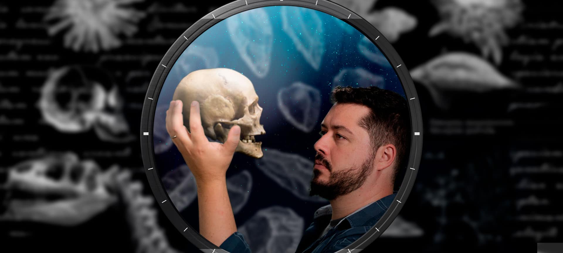 Evolução humana