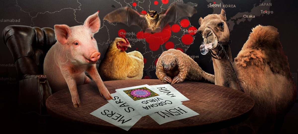 Assim que nasce o Corona