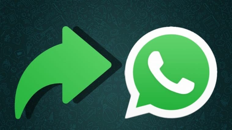WhatsApp anuncia redução em 70% no número de mensagens encaminhadas