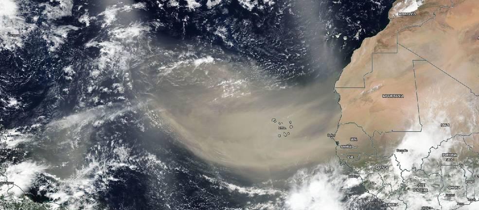 Nuvem de poeira do Saara está a caminho dos EUA e do Caribe