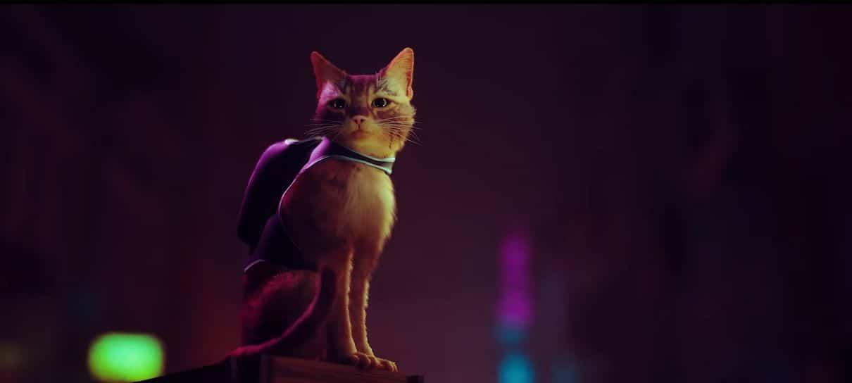 Stray é um jogo com gatinhos e robôs; confira o trailer de revelação