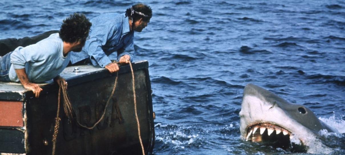 Cientistas recriam barco de Tubarão para estudar animais marinhos