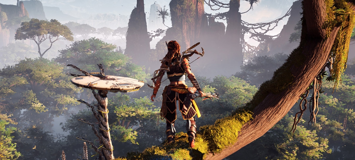 Horizon zero down: Com o melhor preço