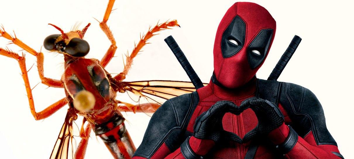 Cientistas australianos nomeiam novos insetos homenageando Stan Lee e Marvel