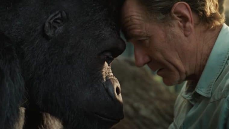 Bryan Cranston cuida de um gorila em trailer do filme The One and Only Ivan