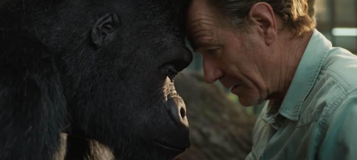 Bryan Cranston cuida de um gorila em trailer do filme The One and Only Ivan