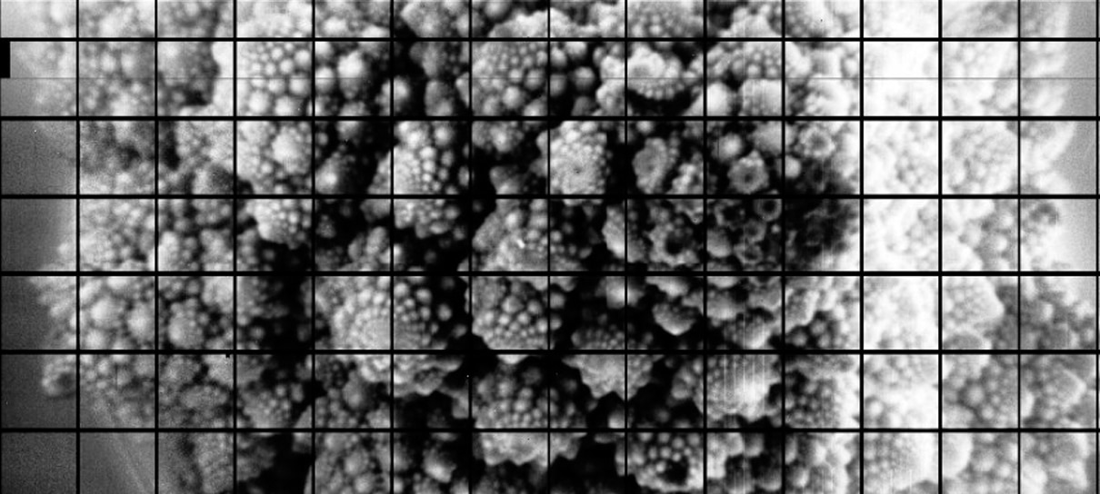 Maior foto do mundo tem 3,2 bilhões de pixels (e é de um tipo de couve-flor)