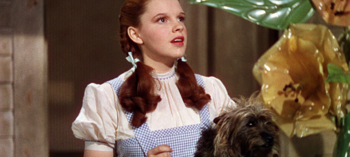 Animação de O Mágico de Oz será focada em Totó, o cãozinho de Dorothy