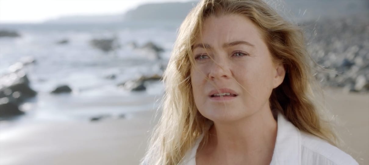Grey's Anatomy | 17ª temporada traz reencontro inesperado; confira