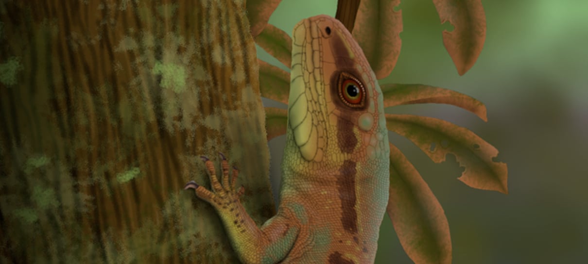 Pesquisadores brasileiros descobriram nova espécie de réptil por causa de pneu furado